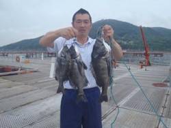 神戸市立須磨海づり公園　落し込みでチヌ