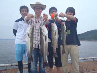 神戸市立須磨海づり公園　シーバス