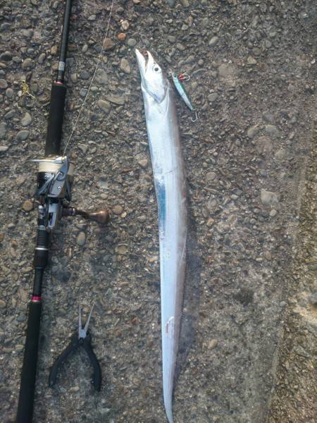 ショアジギング