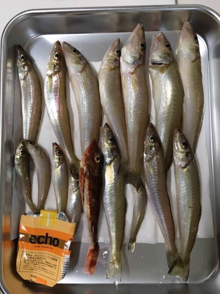 久し振りの釣行