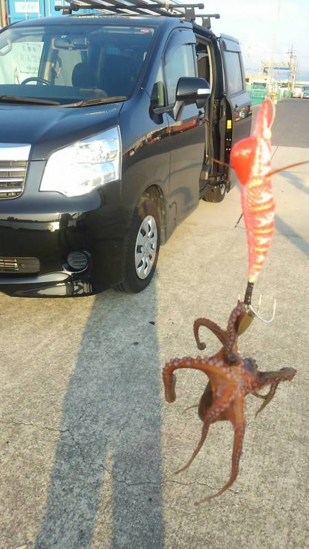 いつものポイント