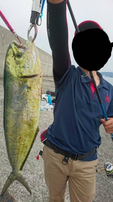 念願の初シイラ！