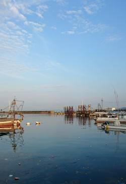 漁港内でオクトパッシング