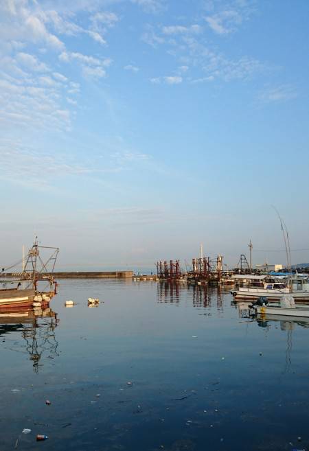 漁港内でオクトパッシング