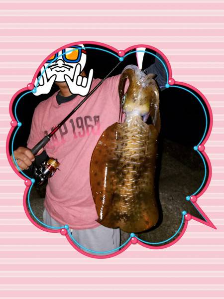 これがラストかなぁ。