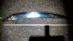 2、3匹の予定が…