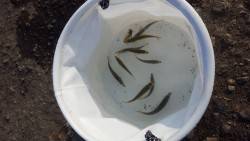 太刀魚狙い釣行