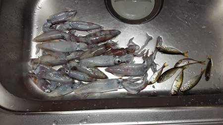 まだまだ小さいね