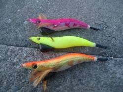 ３０分１本勝負