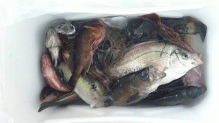 久しぶりの釣行