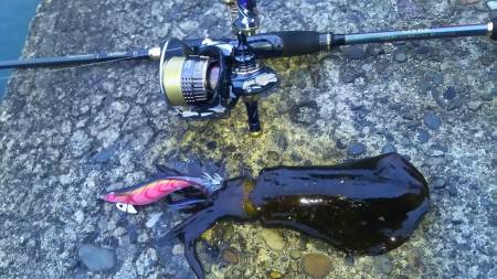 小さいですが釣れました7