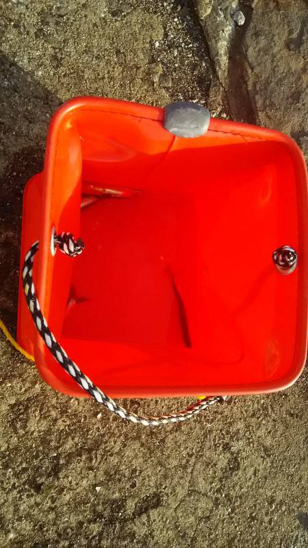 食品コンビナートでサバ爆釣