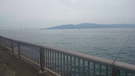 林崎漁港 サヨリ釣行