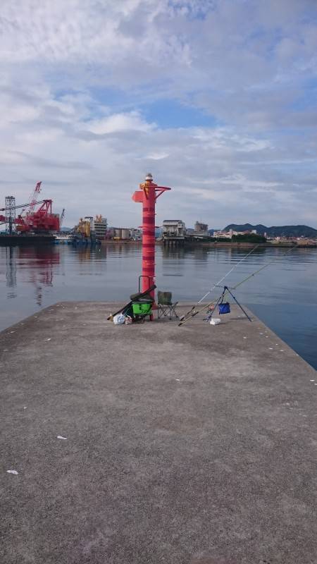 夏のシロギス釣り