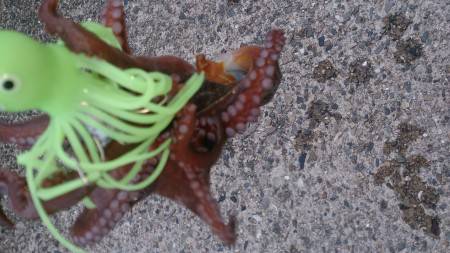 夕方から夜少し