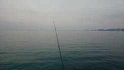 そうだ！カツオを釣りに行こう！