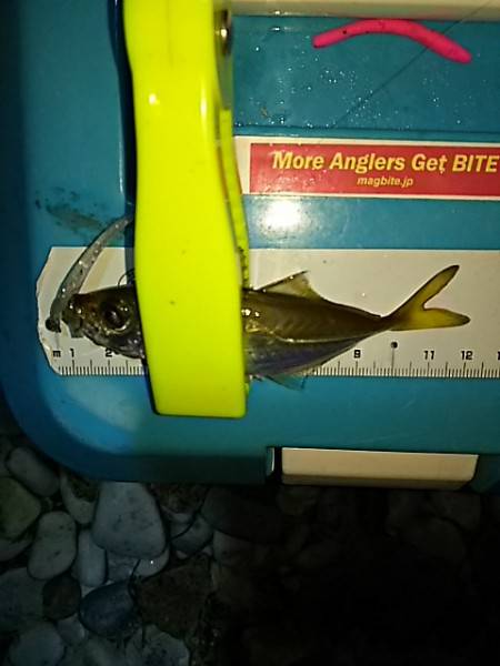 色々ライトゲーム