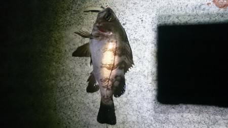 まだまだ行ける？