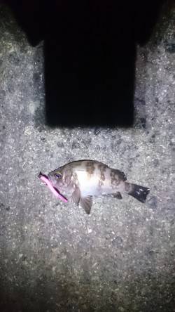 カラーチェンジ！