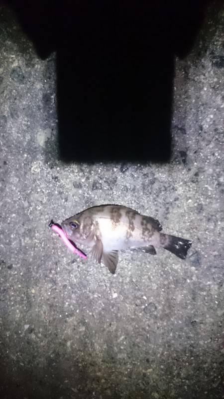 カラーチェンジ！