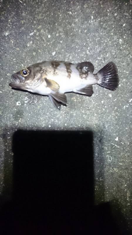 カットしました。