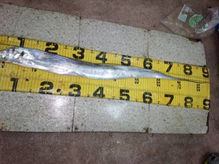 ３年ぶりの淡路島