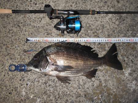 メタルバイブで♪