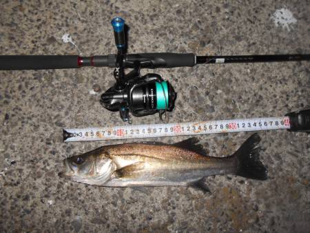 メタルバイブのフルキャストで♪