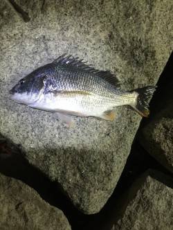 何とかかんとか