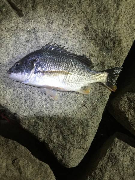 何とかかんとか