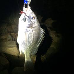 連日チニング✨