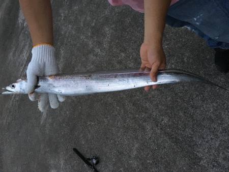 太刀魚ワインド