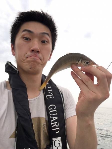 ガルプアジング