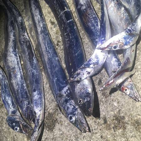 第二弾！夏タチ爆発！