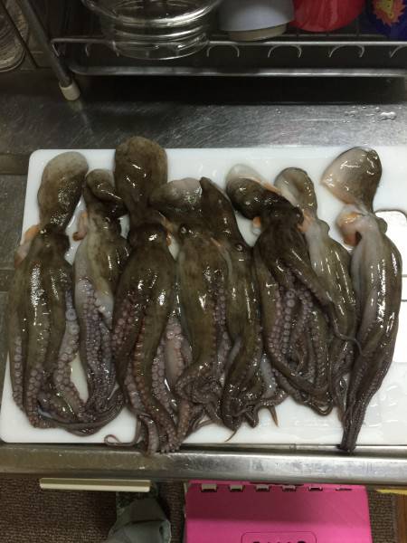 仕事帰りにタコ