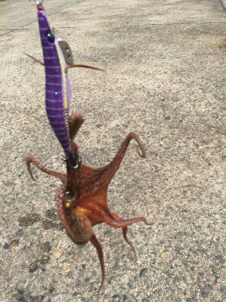 小さいのばかり