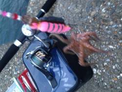 オクトパッシング