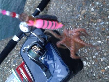 オクトパッシング