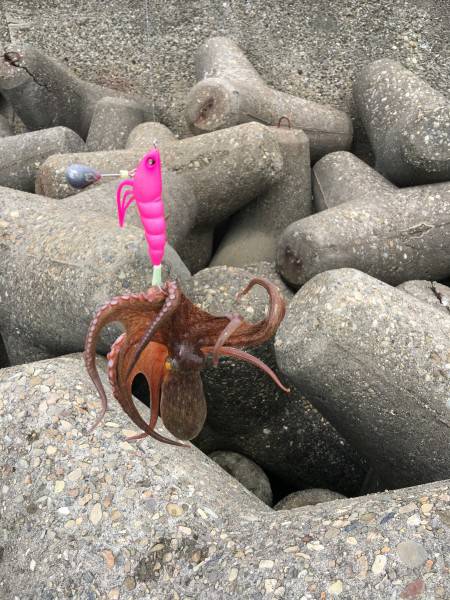 オクトパッシング