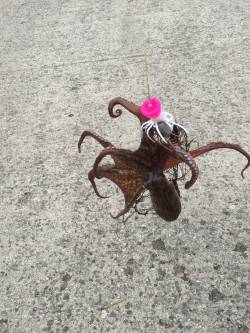 まっすぐ投げましょう