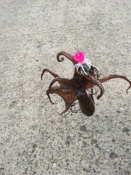 まっすぐ投げましょう