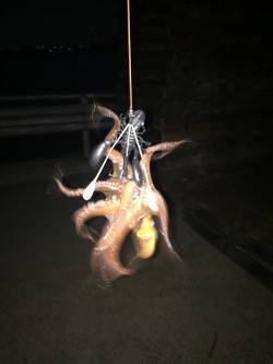 オクトパッシング2