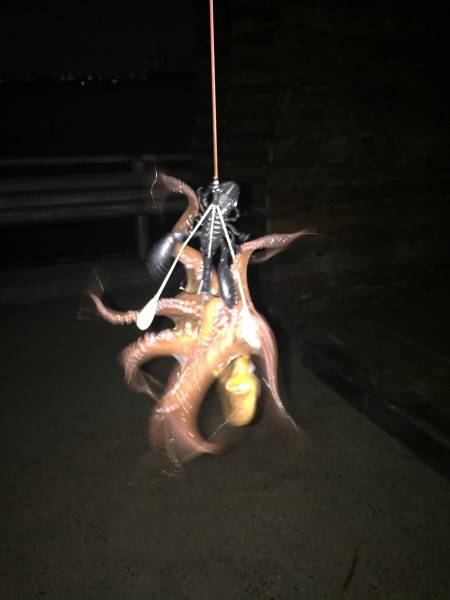 オクトパッシング2