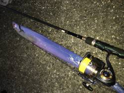 初めてのタチさん