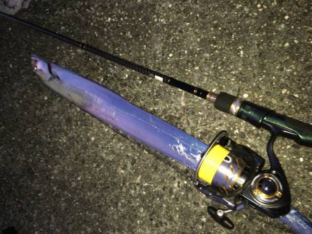 初めてのタチさん