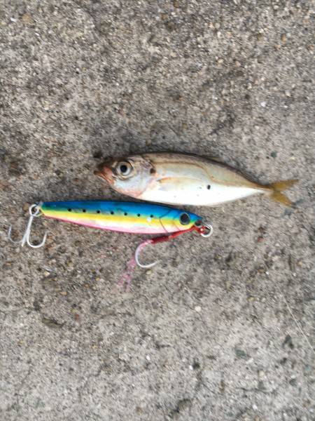 もう終わりかな…