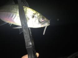 フロートアジング