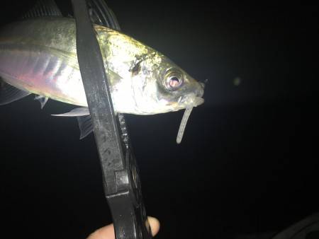 フロートアジング