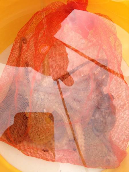 オクトパッシング