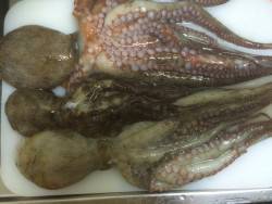 仕事帰りにタコってきました